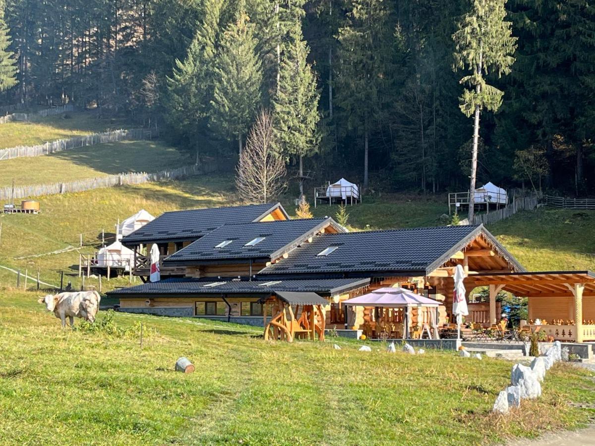 Pensiunea Mireasma Bucovinei