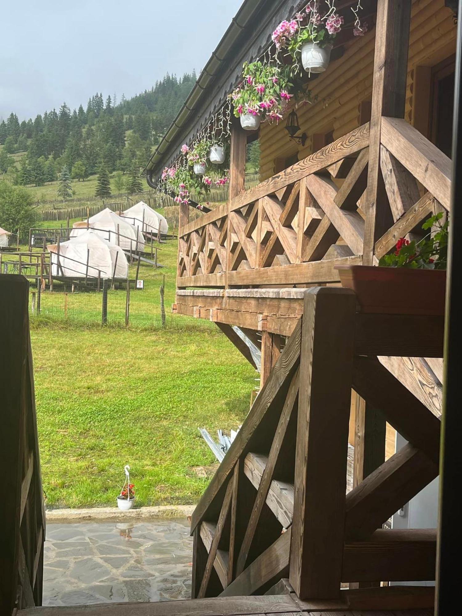Pensiunea Mireasma Bucovinei Crucea